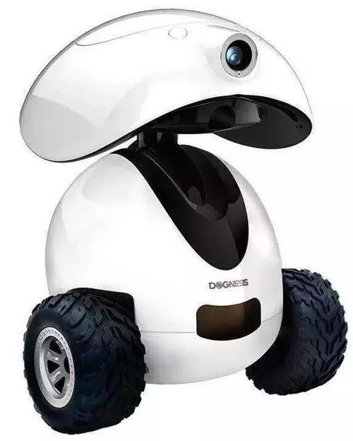 寵物新國貨崛起 中寵、瘋狂小狗、它它、多尼斯、依依、小鮮糧與物聯網技術的融合與發(fā)展